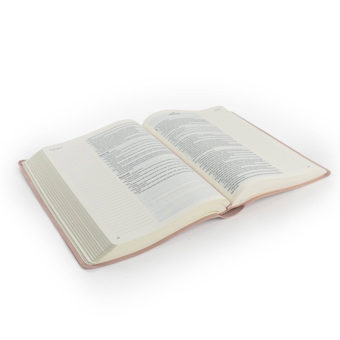Shiloh Notetaking Bible