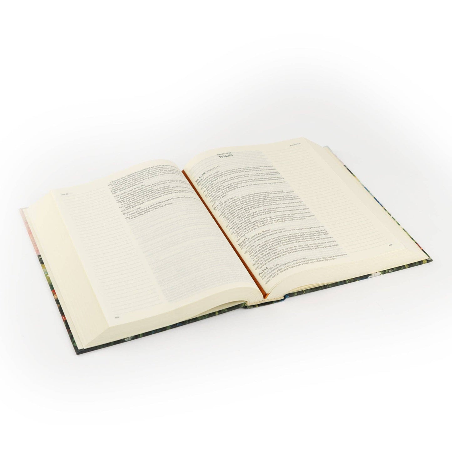 Coram Notetaking Bible