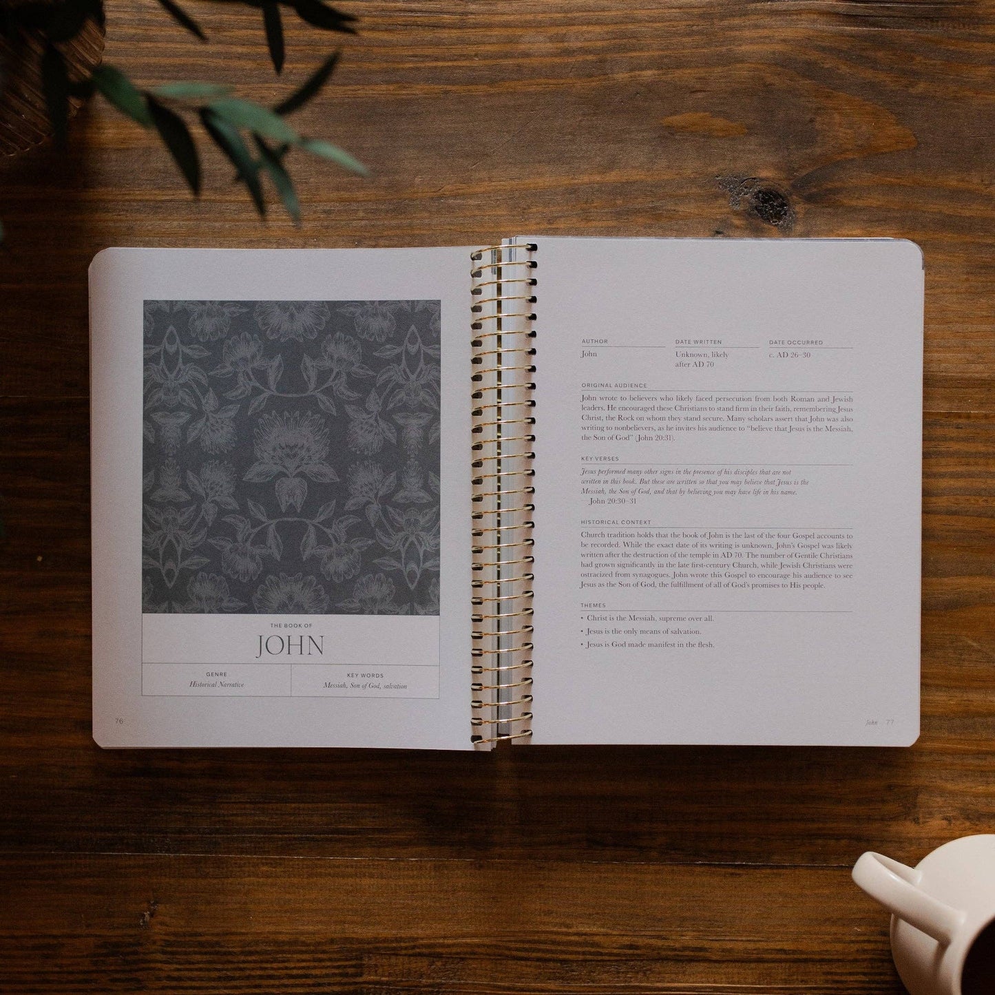 A Year in the Bible vol.4