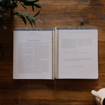 A Year in the Bible vol.4