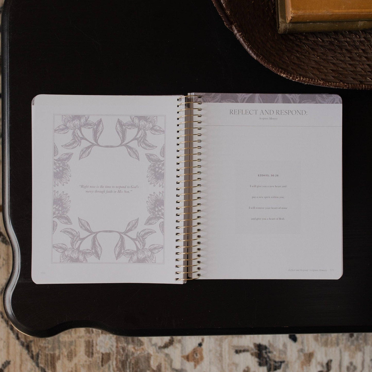 A Year in the Bible |vol. 3