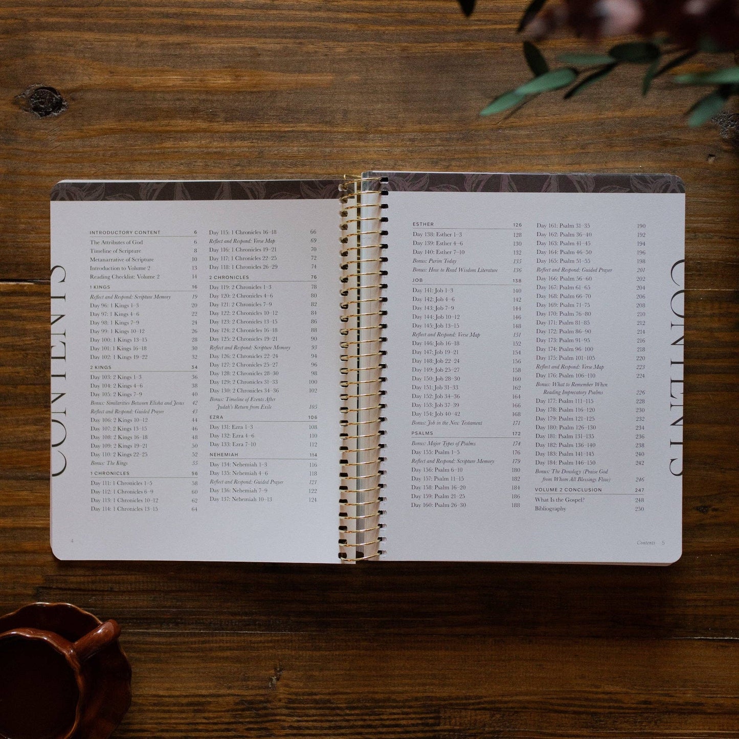 A Year in the Bible |vol. 2