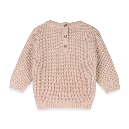 Little Dude Embroidered Pullover (Organic)