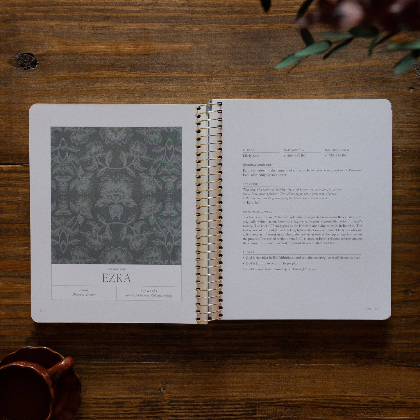 A Year in the Bible |vol. 2