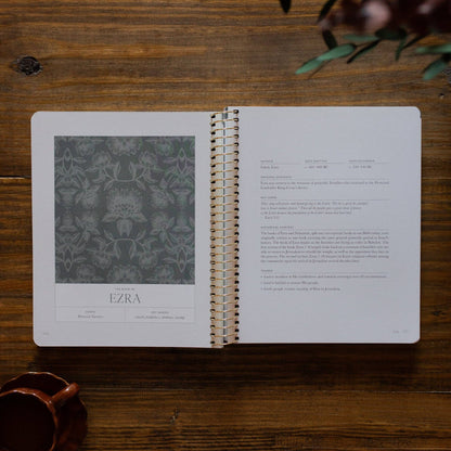 A Year in the Bible |vol. 2