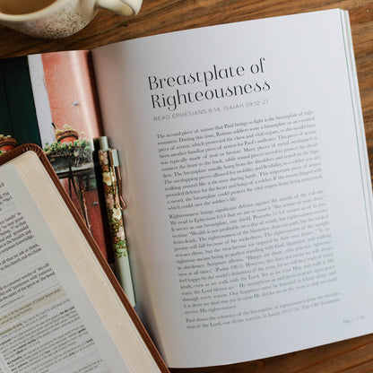 Stand Firm | Armor of God Study