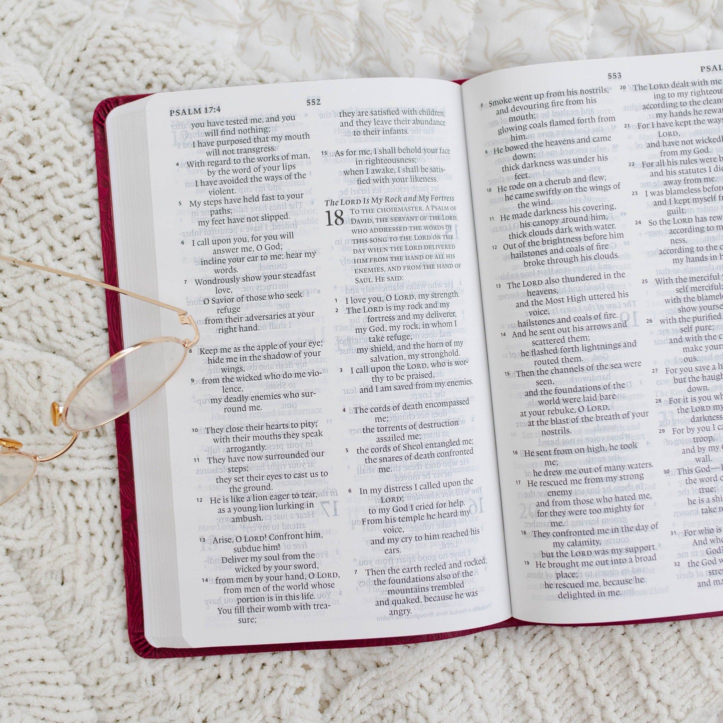 ESV Large Print Thinline Bible TruTone®, Raspberry Floral