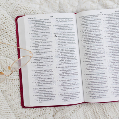 ESV Large Print Thinline Bible TruTone®, Raspberry Floral