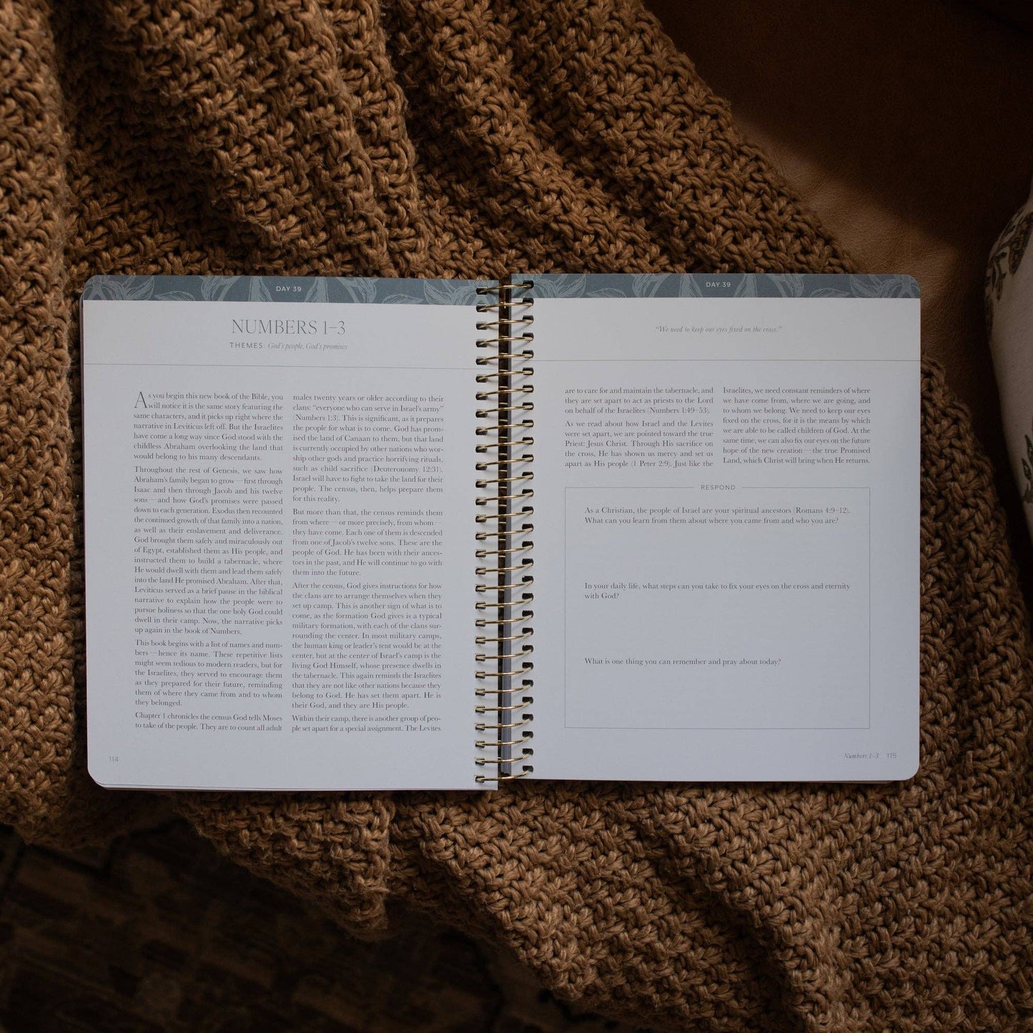 A Year in the Bible |vol.1