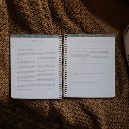 A Year in the Bible |vol.1