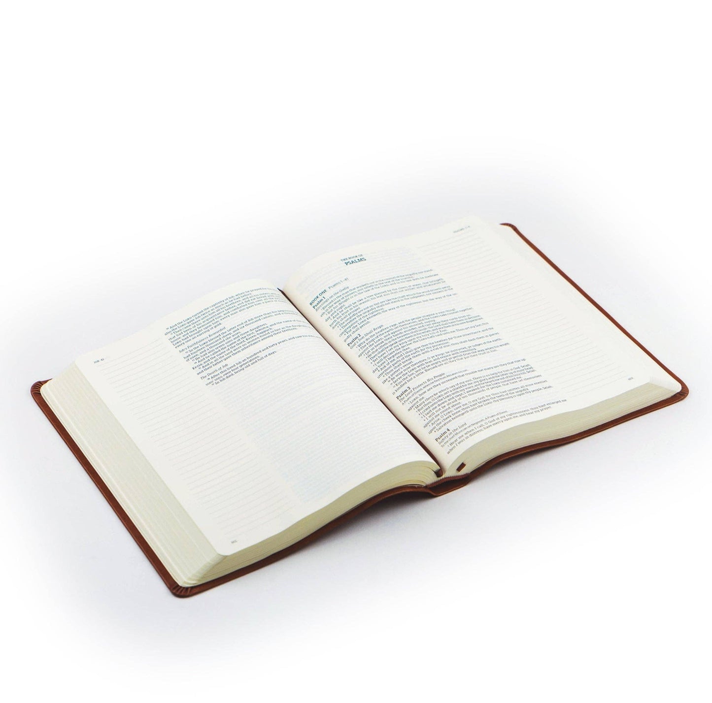 Vienna Notetaking Bible