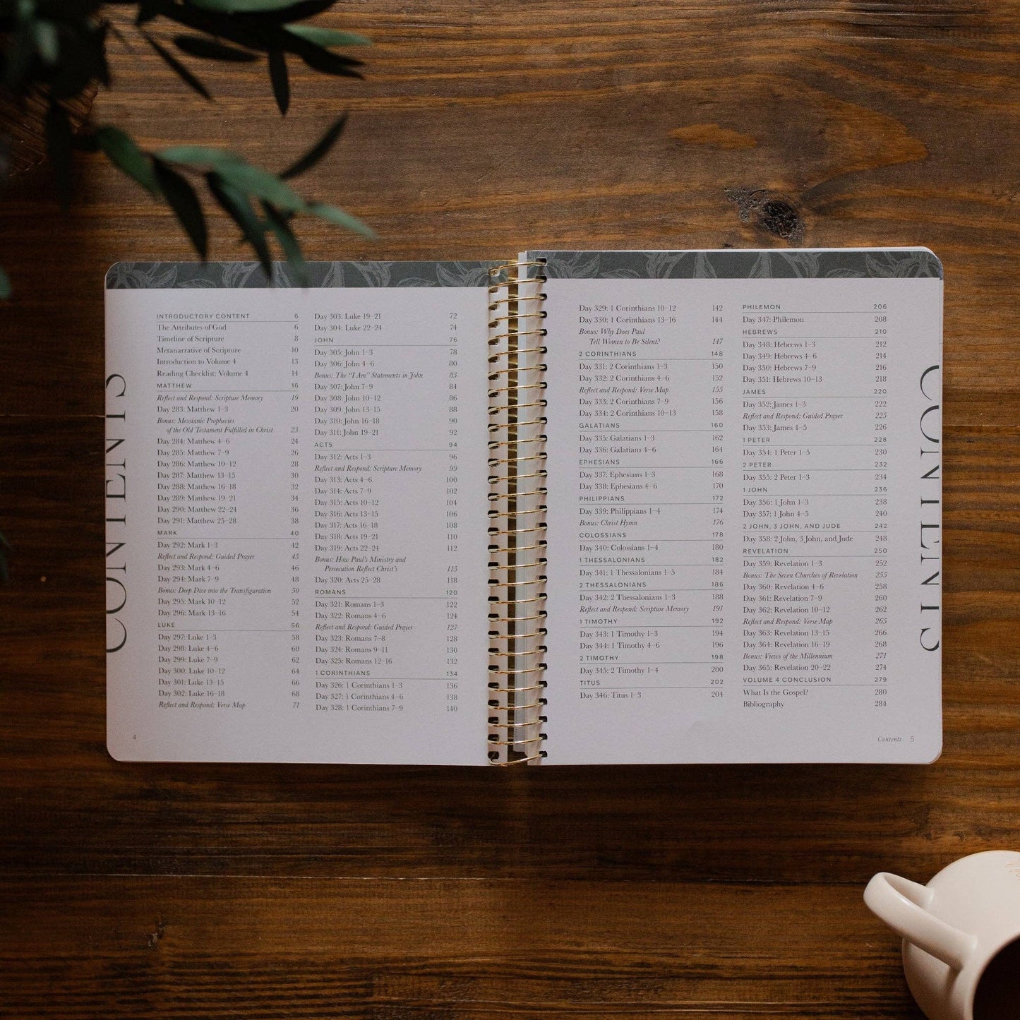 A Year in the Bible vol.4