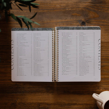 A Year in the Bible vol.4