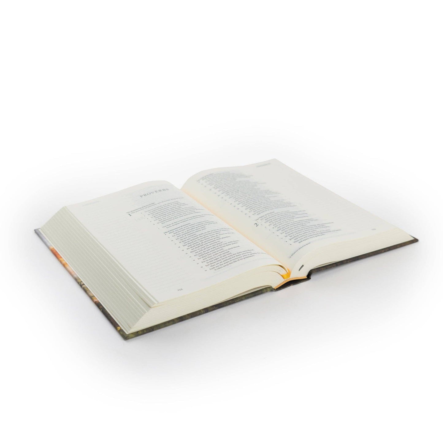 Florence Journaling Bible