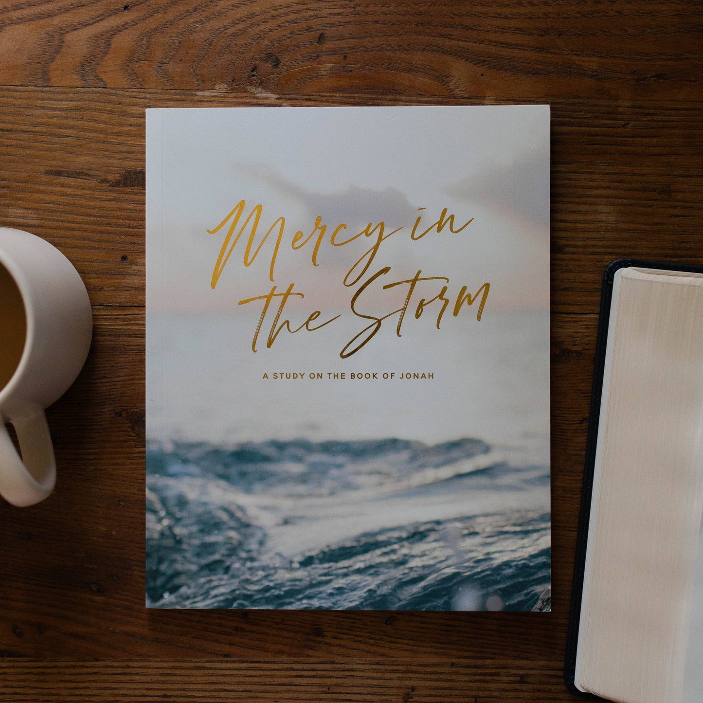 Mercy in the Storm Bible Study