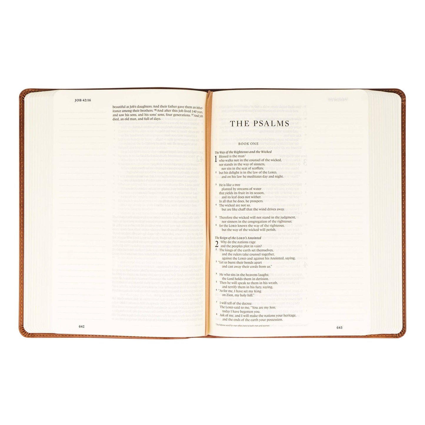 Sierra Journaling Bible