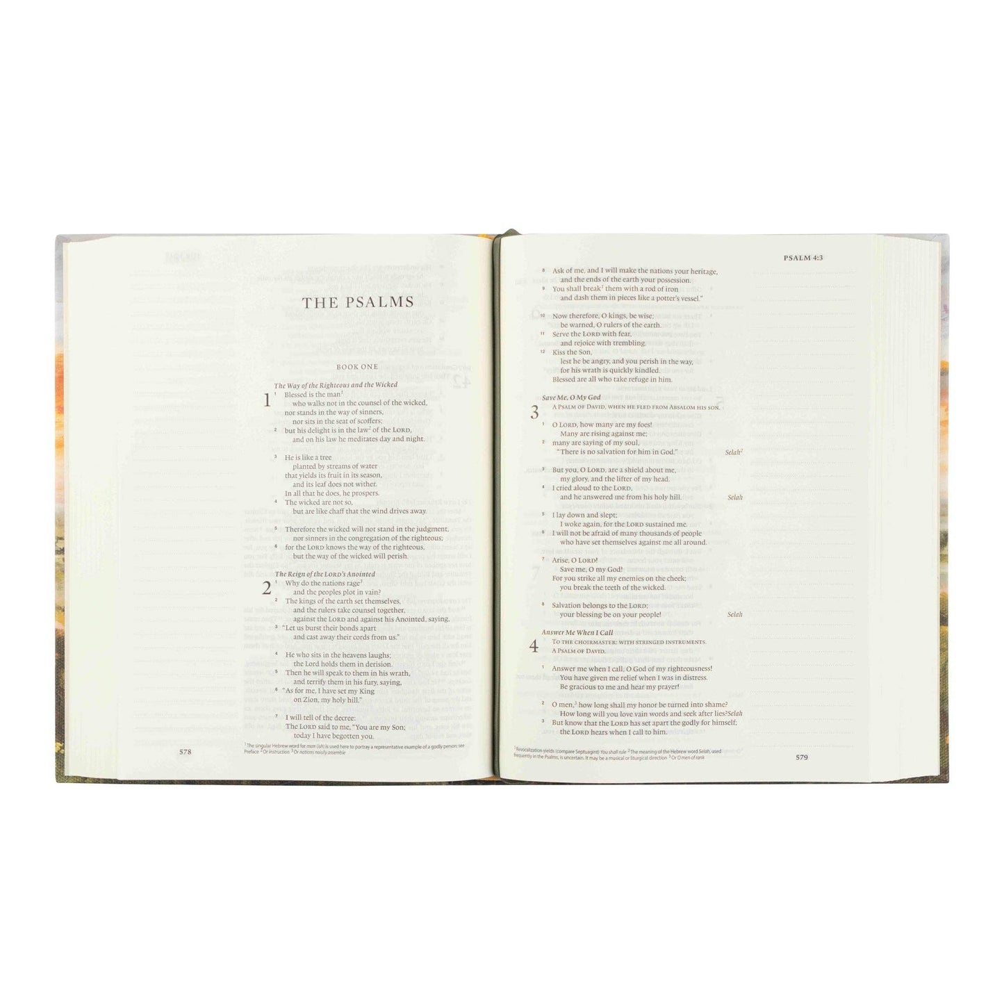 Florence Journaling Bible