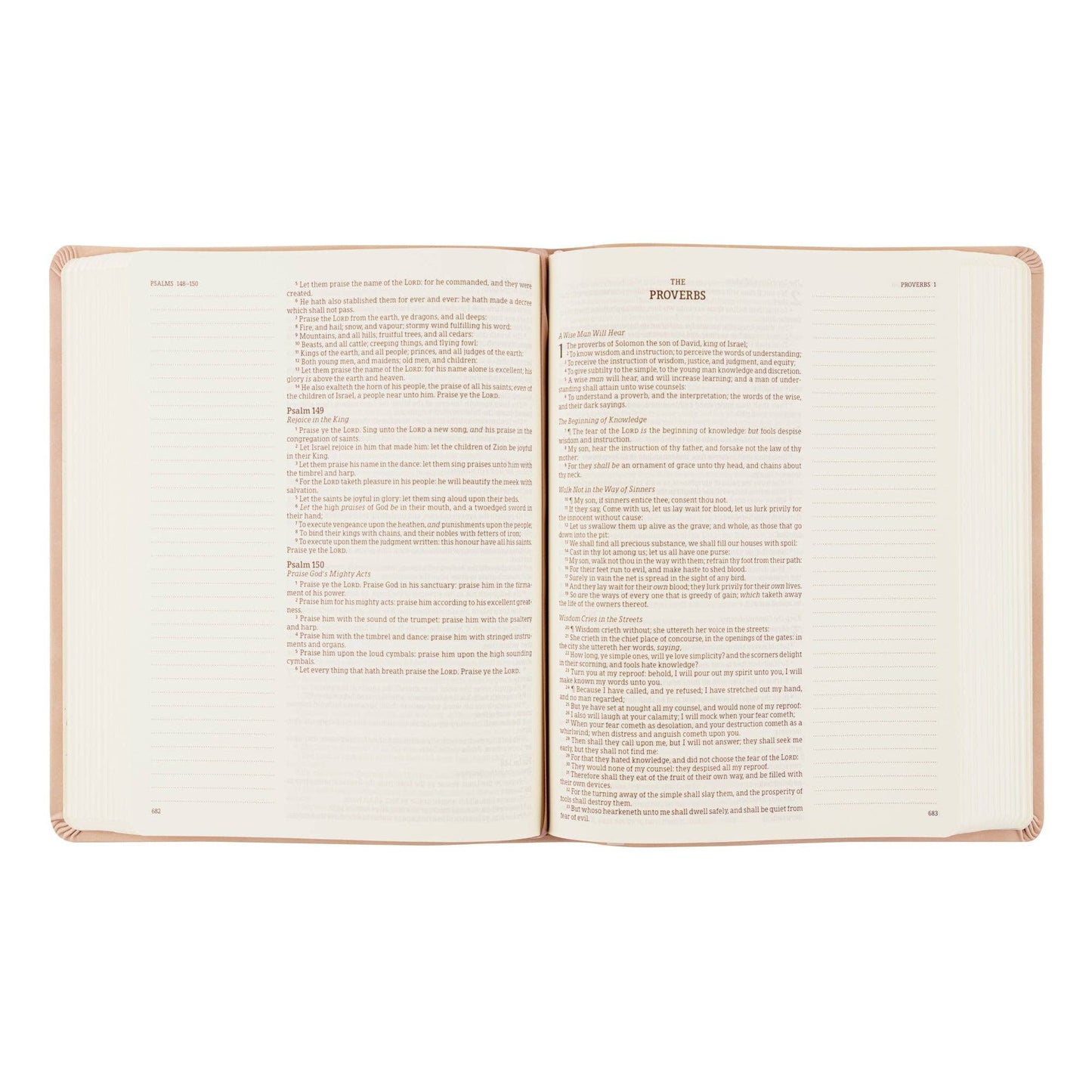 Shiloh Notetaking Bible