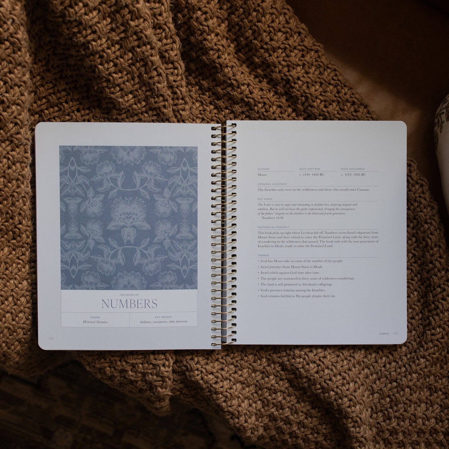 A Year in the Bible |vol.1