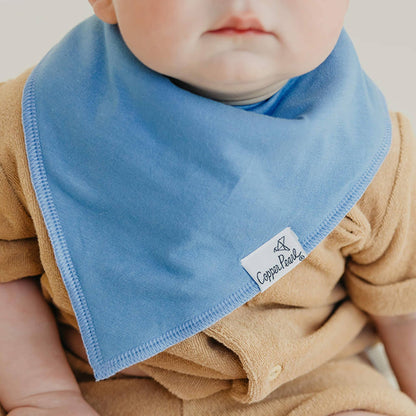 Baby Bandana Bibs - Veggies
