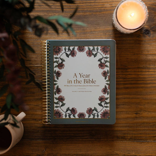 A Year in the Bible vol.4