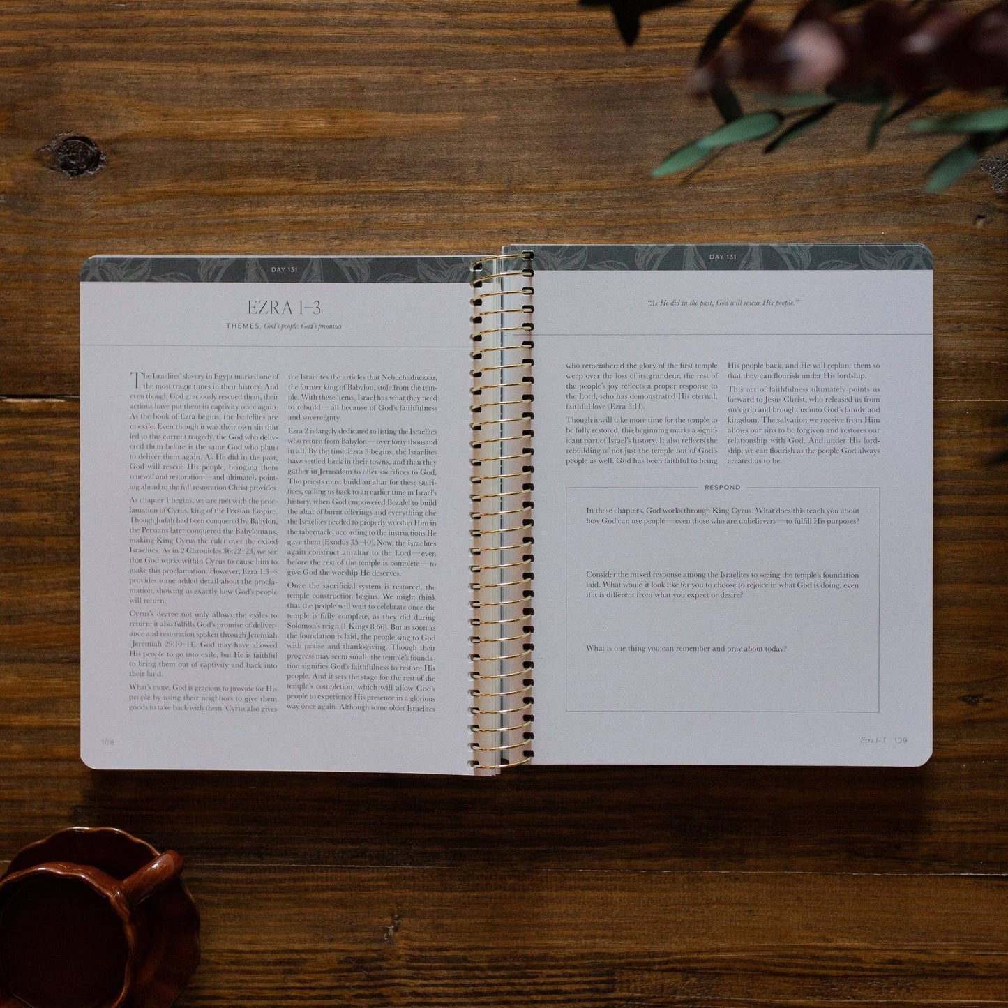A Year in the Bible |vol. 2