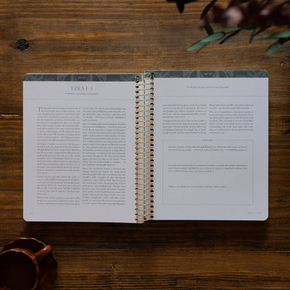 A Year in the Bible |vol. 2