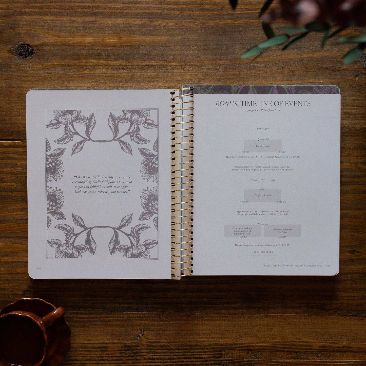 A Year in the Bible |vol. 2