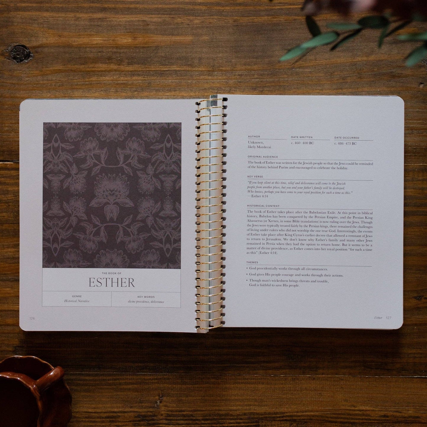 A Year in the Bible |vol. 2