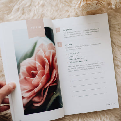 Fix Your Focus Guide Book