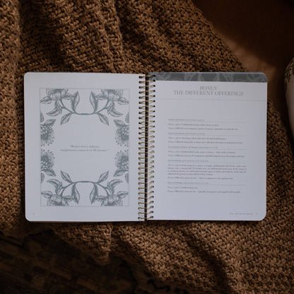 A Year in the Bible |vol.1
