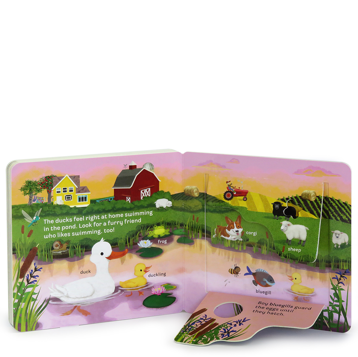 Moo Lift a Flap Farm Book