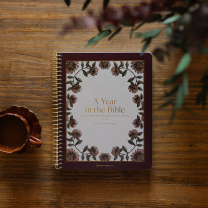A Year in the Bible |vol. 2