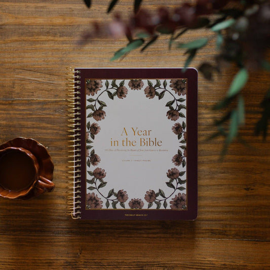 A Year in the Bible |vol. 2